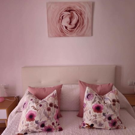 Apartamento El Olivo 艾姆布里亚布拉瓦 外观 照片